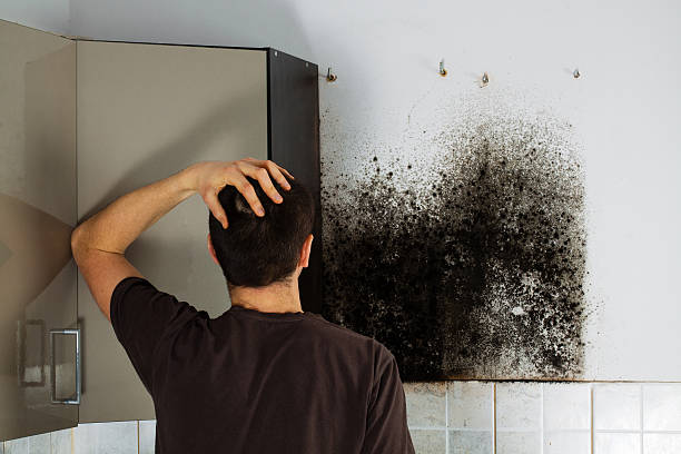Trusted Bruceville Eddy, TX Mold Remediation Experts